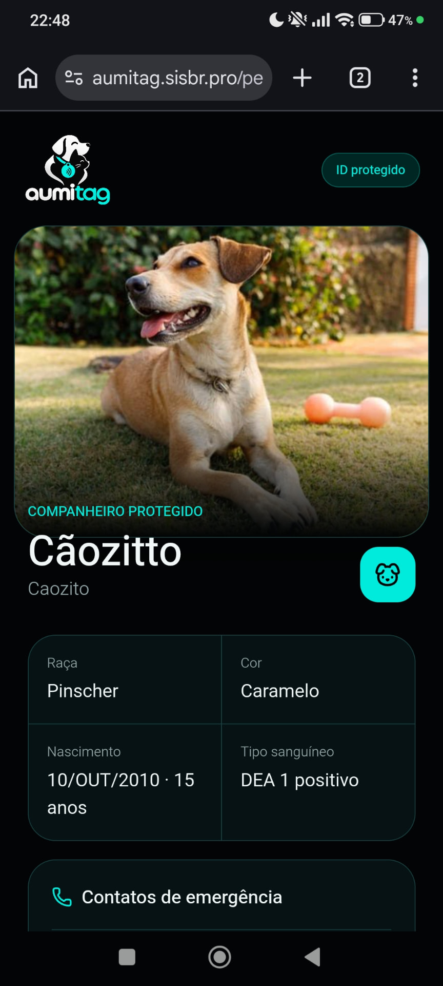 Perfil digital real do cachorro Cãozitto na AumiTag